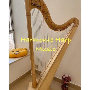 SOLD - 2nd Hand Salvi Ana Deluxe 40 strings Lever Harp SOLD - 2nd Hand Salvi Ana Deluxe 40 strings Lever Harp